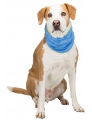 Бандана охлаждающая для собак Trixie 