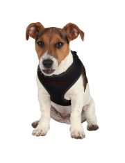 Шлейка для щенков Trixie с поводком 33-47см*10мм, 2м