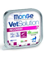Влажный диетический корм для кошек Monge VetSolution Cat Recovery при восстановлении питания в период выздоровления