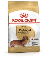Royal Canin Dachshund Adult Корм сухой для взрослых собак породы Такса от 10 месяцев