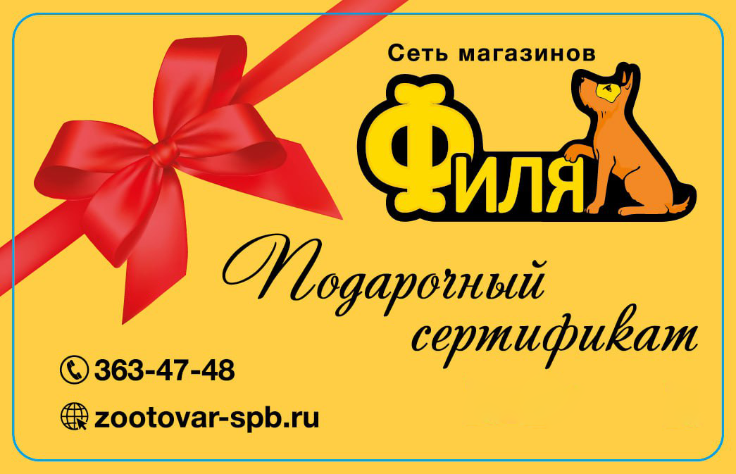 подарочный сертификат Филя